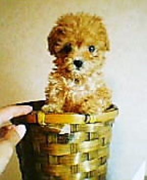 生後二ヶ月を過ぎた頃