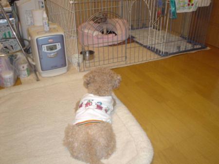 今日も飽きずに眺めるアトム