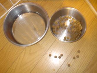 フードの振り分け