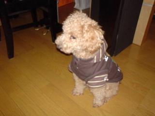 長女のトリミング