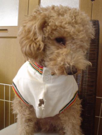 どうしてここにあな??