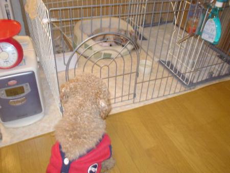 なっなになiに??????