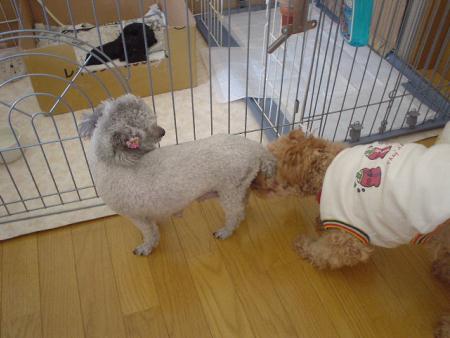 ﾝｯ?   ｸﾝｸﾝｸﾝ