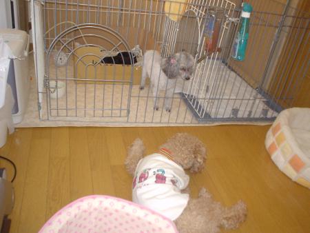 切ないよぉ～～