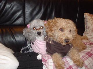 ラブラブ、プーズ