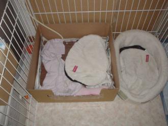 お飾りの産箱???