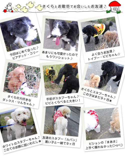 多摩川でのお友達♪