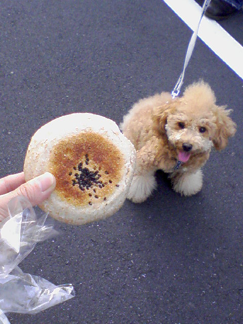 さくらとあんぱん