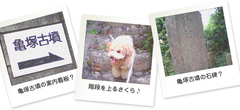 さくら日記フォト02