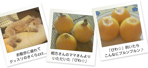 さくら日記フォト05