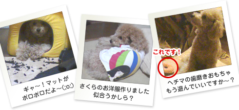 さくら日記フォト07