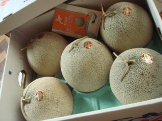 ほべつメロン　１