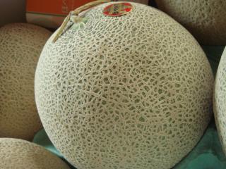 ほべつメロン　２