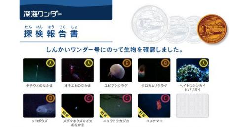 深海ワンダー　４