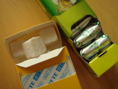 SPASH & PLUS X CUBE　２