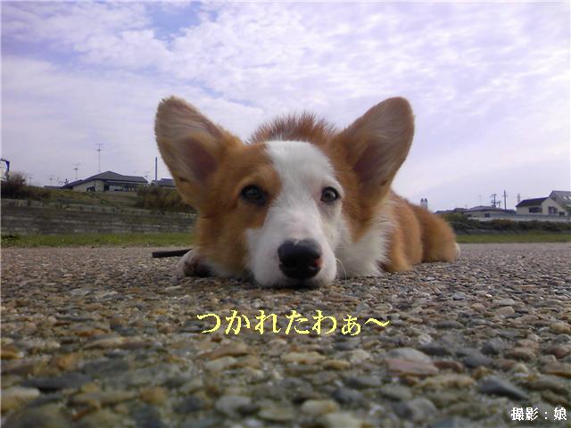 るー