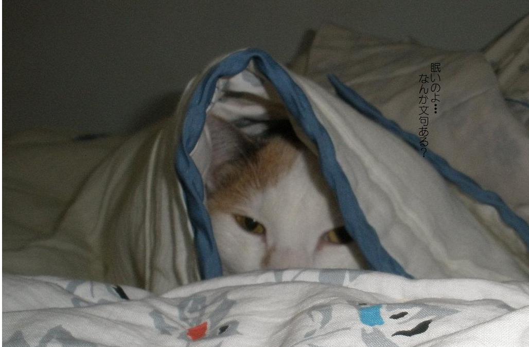 ヤダヤダ・・・