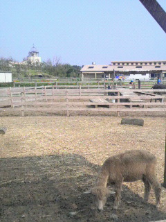 ウクピク２０１０・・１