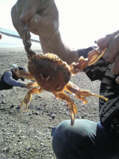 20101128九十九里２