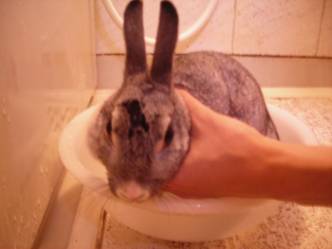 !cid_image002.jpg@01C697C6[1]