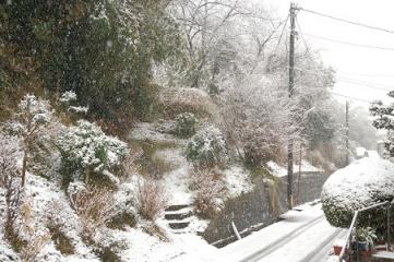 DSC_6949.JPG