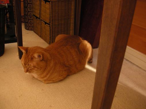 DSCN2808.JPG