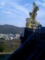 070128_1527~0002.jpg