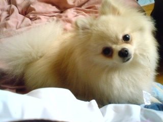 080207_0819~01.jpg