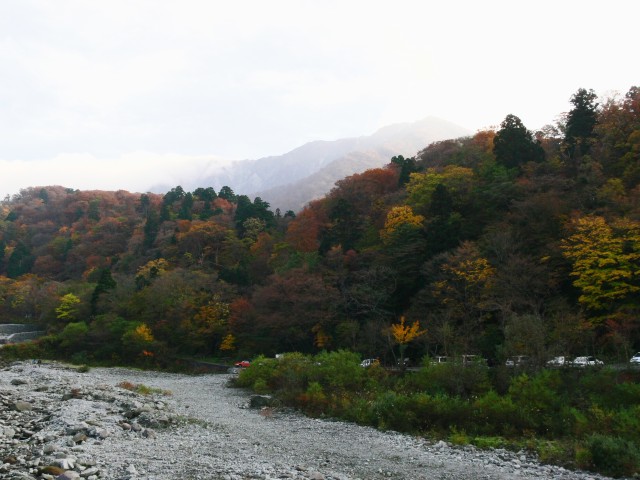 紅葉