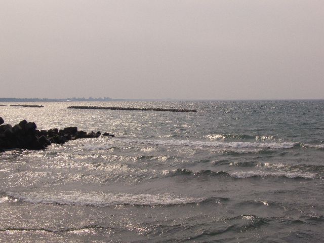海