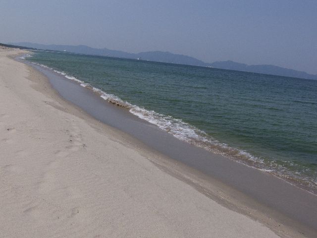 砂浜