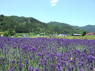 沼田2006_0624_105837AA.JPG