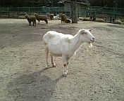 070302_140654.jpg