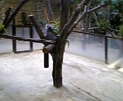 061008_134518.jpg