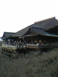 photo.jpg