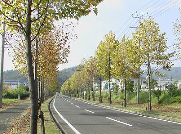 2006_10192006-10-200007.JPG
