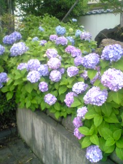 090621_184701.jpg