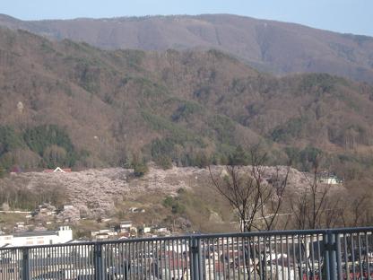 遠くから高遠城址公園１７：００