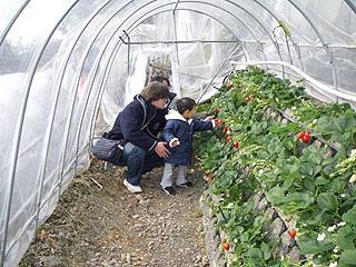 20070121_04.jpg