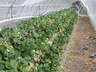20070121_03.jpg