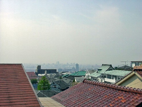 PICT2329.JPG