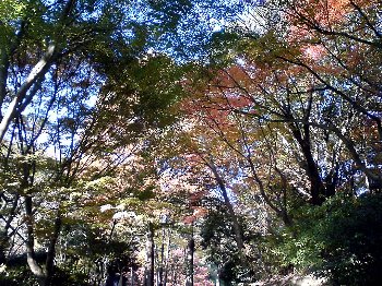 suma_rikyu_park010.jpg