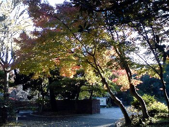 suma_rikyu_park015.jpg