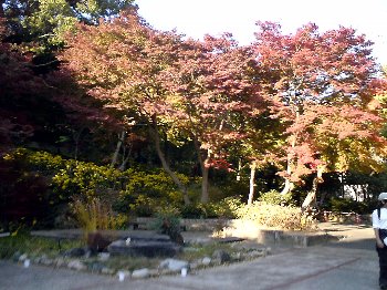 suma_rikyu_park016.jpg