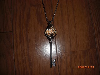 買ったネックレス２
