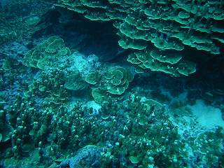 よくよく見ると・・・