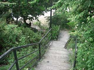 ビーチへの階段