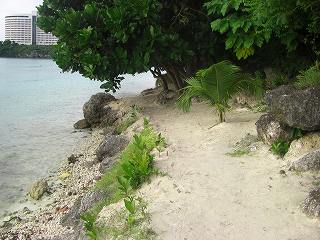 ウェスティンに続くビーチ
