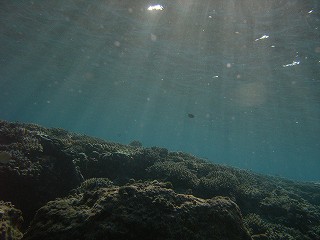 ビーチダイビング　２