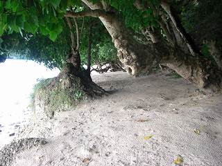 ウェスティンに続くビーチ２